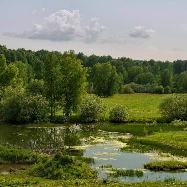 calmlivng's tweet photo. serenity in stillness https://t.co/MEReUTkyWf