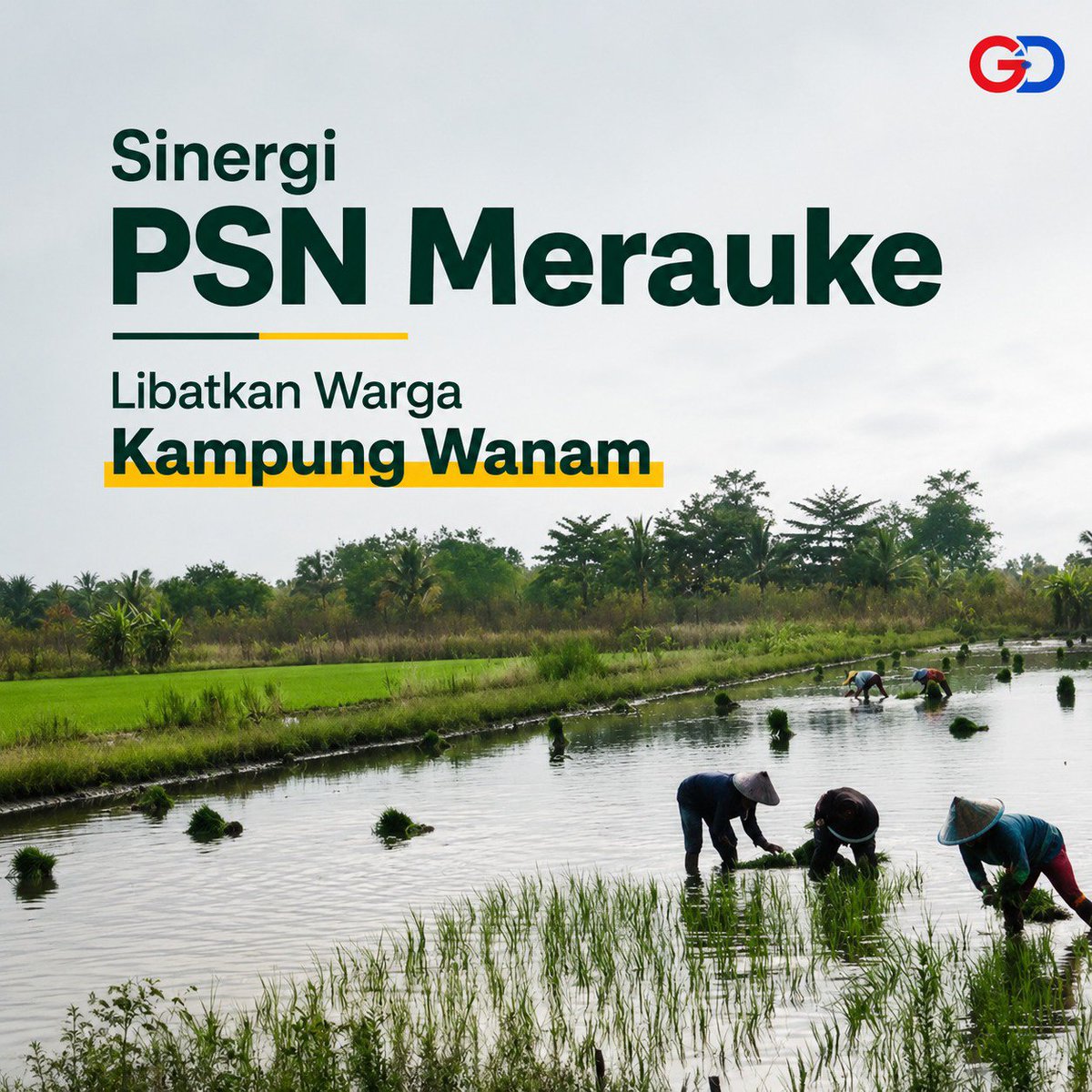 arva_neng's tweet photo. Dari merauke untuk Indonesia! transformasi sektor agraris di papua selatan lewat program Wanam Pangan Kita menjadi bukti nyata komitmen kita dalam menjaga ketersediaan pangan nasional.
#WanamPSN #WanamHarapanSemua #LumbungPanganNasional  #PanganPapuaMaju #WananPapuaSelatan https://t.co/qyLlq5dzhB