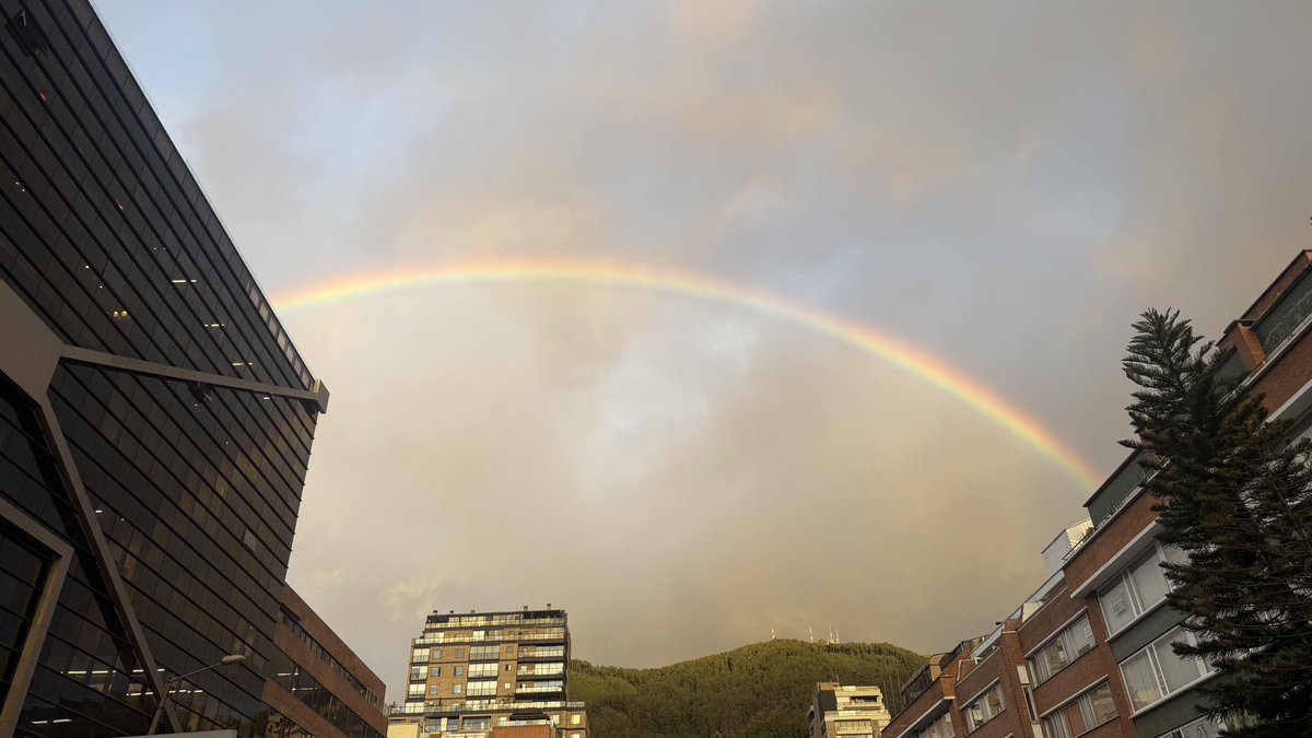 natolarte's tweet photo. Días así 🫶🏼 https://t.co/n77hmSpbL5