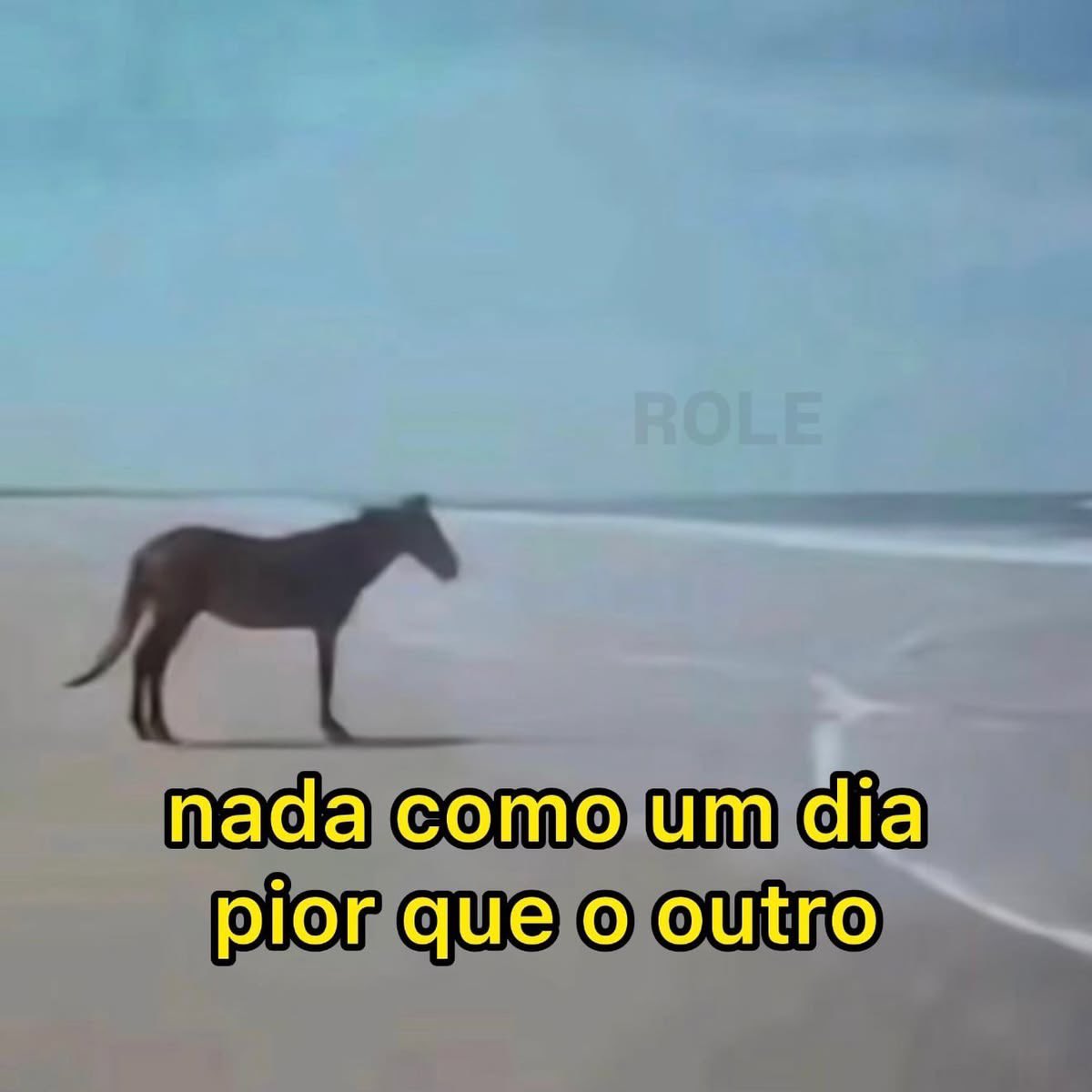 shitpostverdade's tweet photo. https://t.co/TUsygcZ4Ga