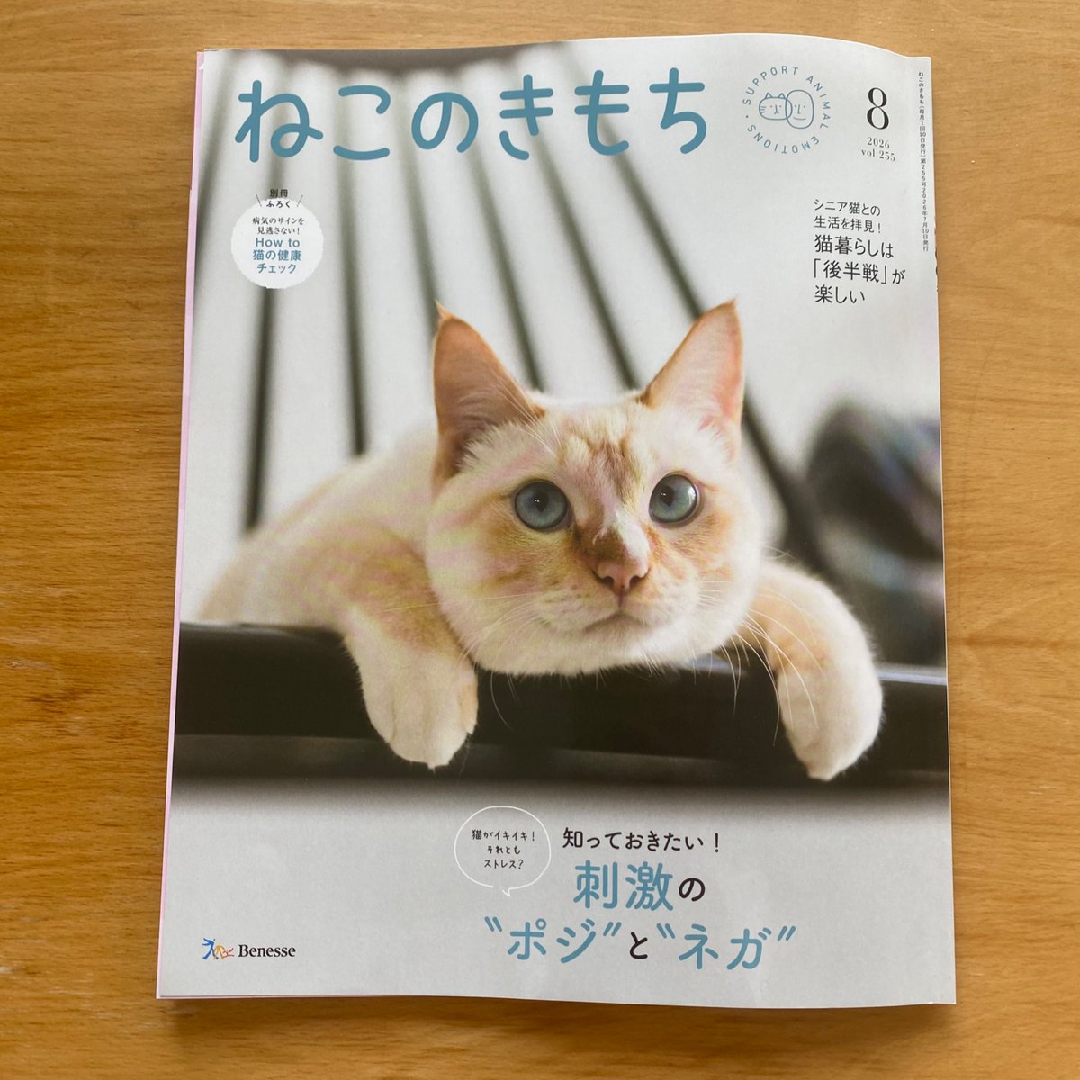 ねこページ お仕事】 定期購読誌「ねこのきもち 8月号」の記事に挿し絵を描きまし