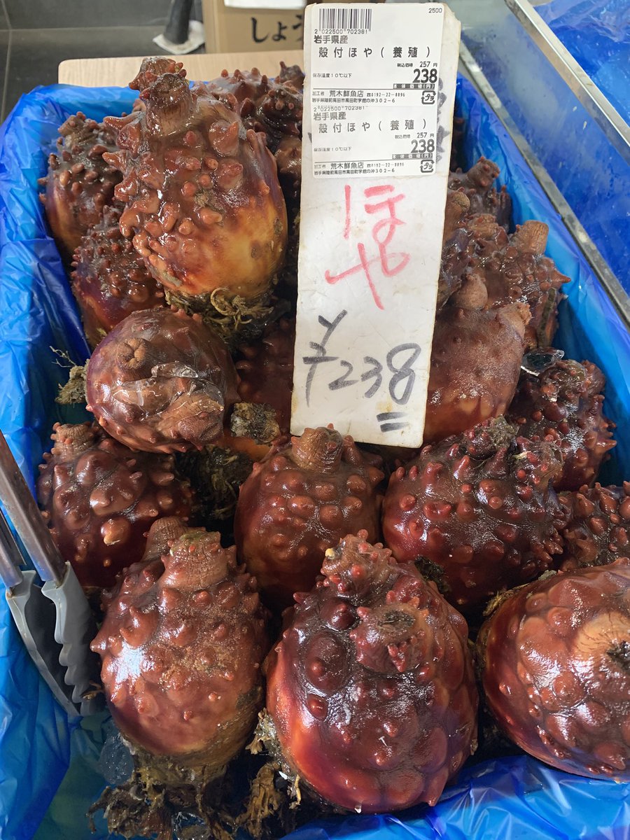 skanayaneko's tweet photo. 今週始めて売ります。終盤戦になりました、ホヤ料理といえば何ですか❓ https://t.co/Du9KIX3gfw