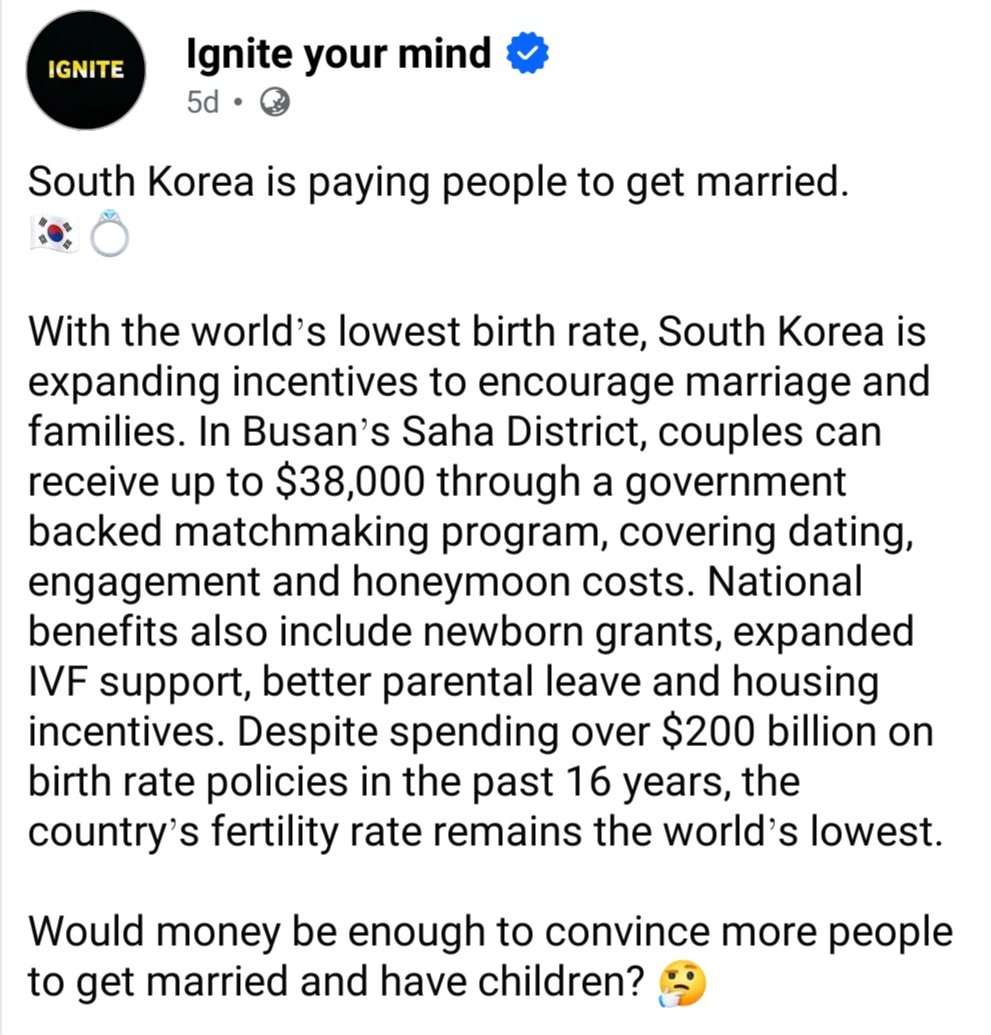 mnikoomii's tweet photo. is this my sign to move to Korea, especially BUSAN, and get married there? https://t.co/JaqrSP8CJJ