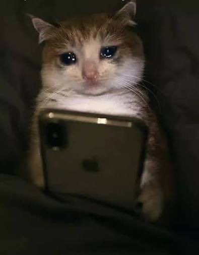 taylor tweet media