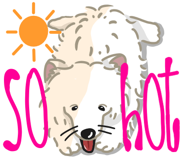 PENS_LINE's tweet photo. おはようございます！

東京の今日の最高気温は36℃

本日は #虹の日
【なな(7)い(1)ろ(6)】の語呂合わせによるものです🌈

木曜日！
今日も1日よろしくお願いします🦄✨️

#LINEスタンプ #企業公式つぶやき部 #サモエド https://t.co/0wYtTMhaq6