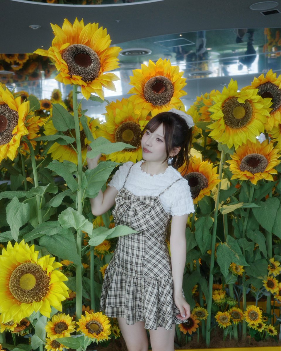 miran_partner's tweet photo. おはよう〜🌻
ひまわりでっかい！！ https://t.co/ikLRrRKvtl