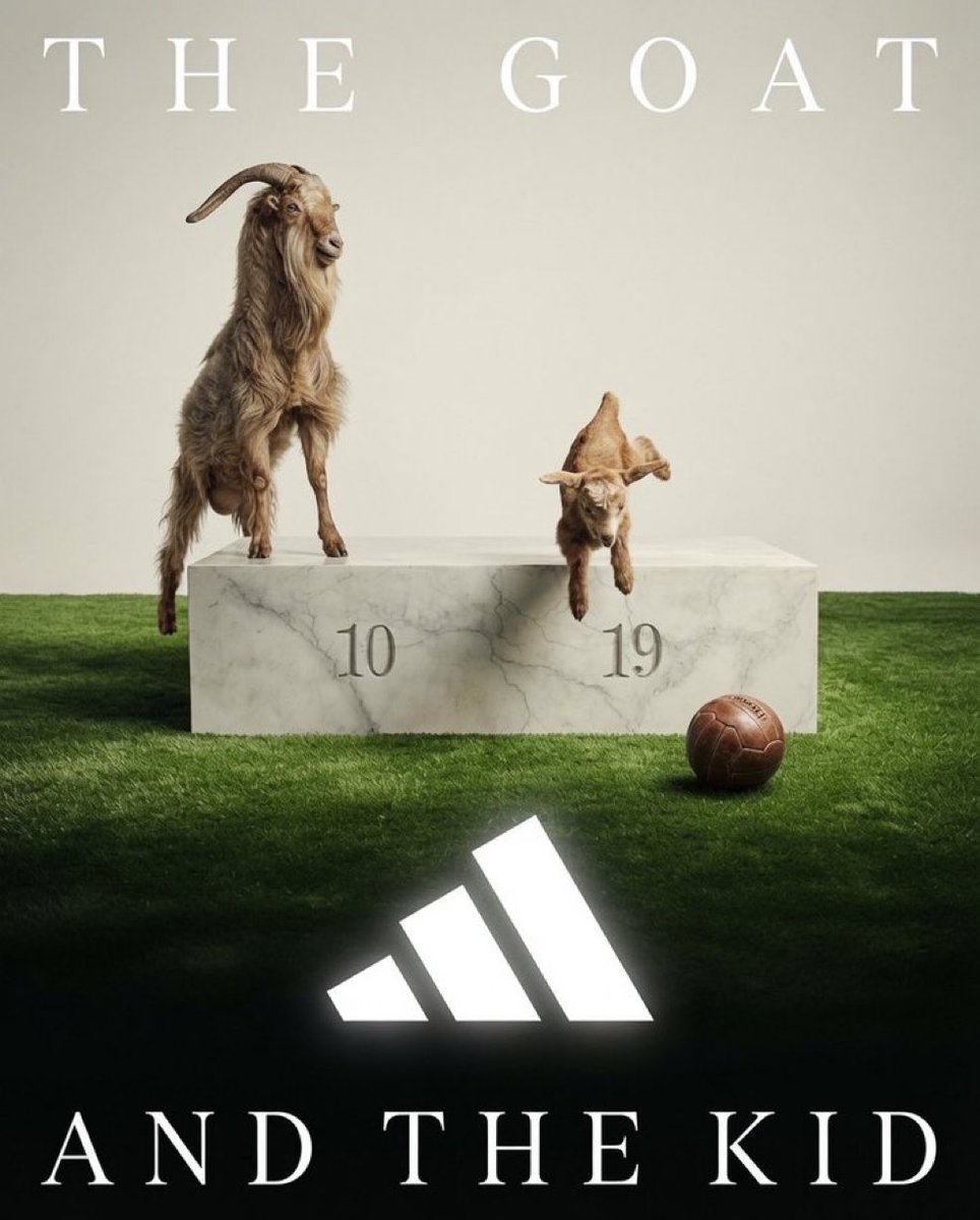 EL_President_'s tweet photo. - اللي صار محبوك ومرسوم من @adidas https://t.co/5h8NbezXP3