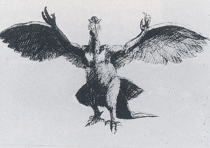 GodzillaWiki's tweet photo. Early concept art for Rodan was considerably more bird-like than the final onscreen design, bearing more resemblance to Archaeopteryx than Pteranodon with feathered wings, a long tail, and a hunched posture. Ishiro Honda rejected these designs in favor of the pterosaur design. https://t.co/dqPj0q1zw4