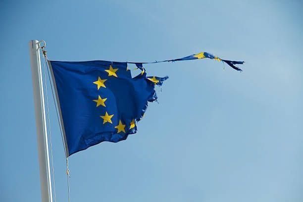 Franck3420's tweet photo. 🇪🇺 Un scandale qui sent le complot mondial à plein nez.

Arno van Kessel, l'avocat néerlandais à la tête de la plainte au civil contre Bill Gates, Ursula von der Leyen, Albert Bourla et Klaus Schwab pour les graves préjudices causés par les vaccins contre la COVID-19, a été arraché à son lit à 5 heures du matin par une unité antiterroriste, menotté, les yeux bandés, et emmené à la prison de haute sécurité de Vught.

Quelques heures seulement après avoir remis des documents clés les accusant de possession d'armes biologiques.

Coïncidence ? Absolument pas.

Cette élite nous empoisonne, nous contrôle et emprisonne quiconque ose réclamer justice.