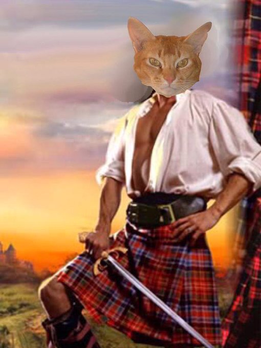JailSquirt's tweet photo. #Purrs4Peace #nipclub #catsofX #dogsofX
Friends! #Anipals! And anyone who hates hackers!
It's me, Squirt McSquirtface.
My account has been hacked 😾 so (for now, at least) I'm here.
If you followed me there, please follow me here.
Please spread the word! https://t.co/Xe9644k8RH