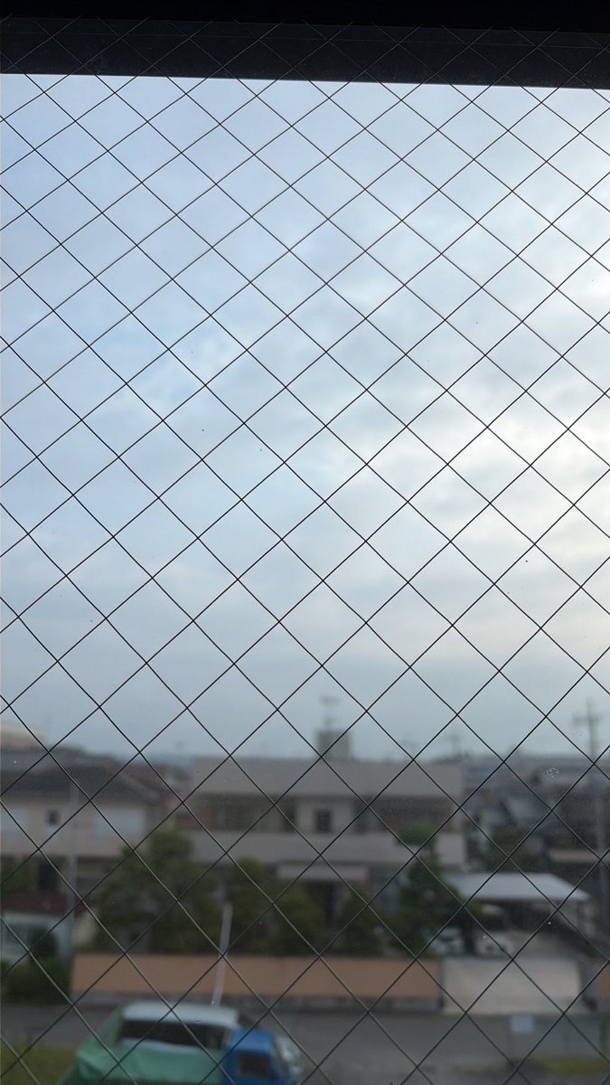 eevee0209's tweet photo. おはよう☀
今日も頑張ろう💪 https://t.co/Q0a68CFIZ7