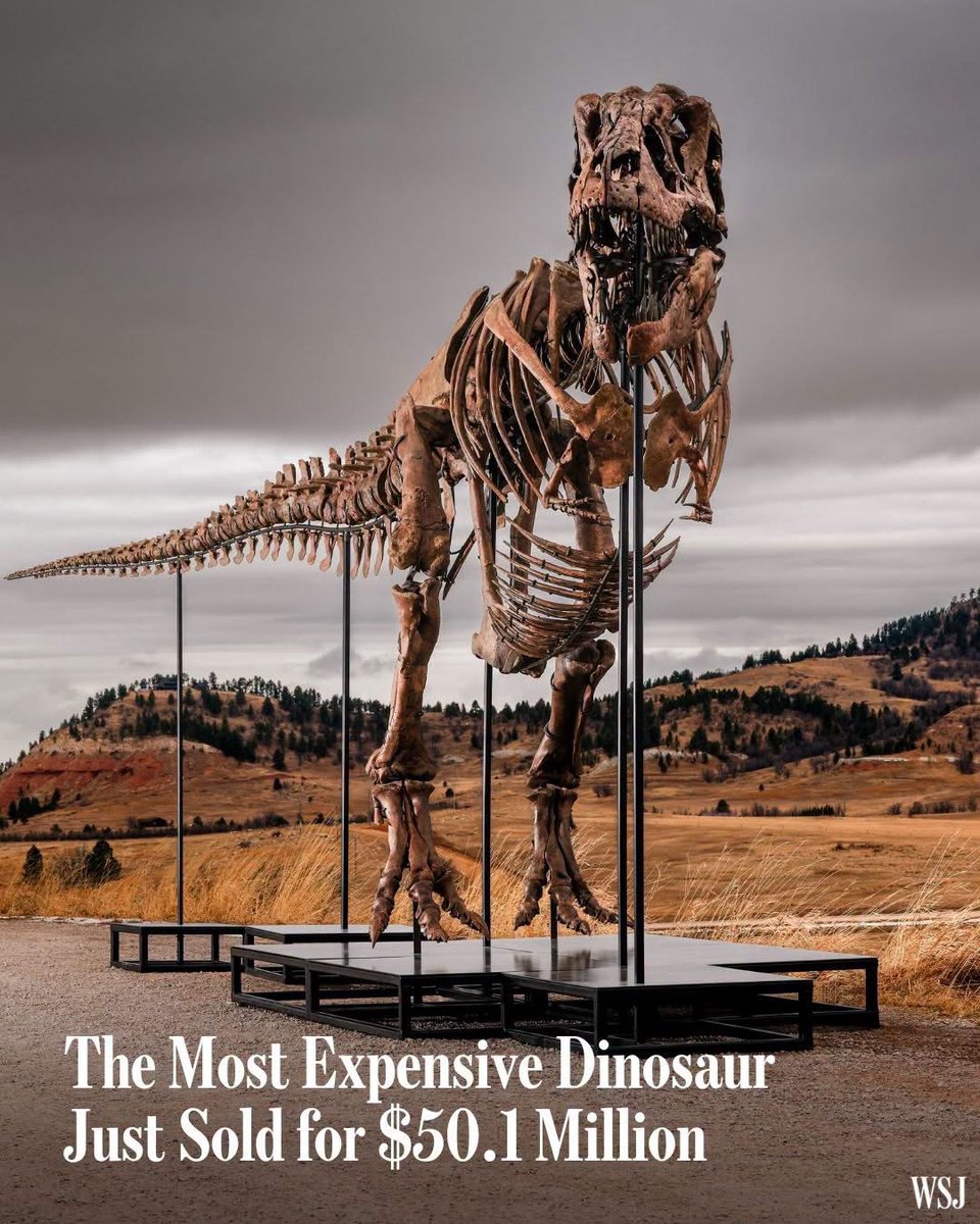 alignment_co's tweet photo. Someone bought my Dino 🦖 

🥹😇🙏🏽🌱 https://t.co/SN0AEWTgdl