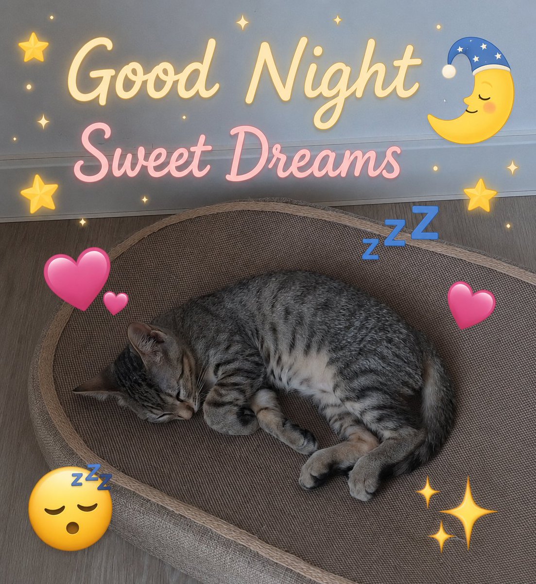 Moon1372734's tweet photo. https://t.co/9V0LRYyDc8