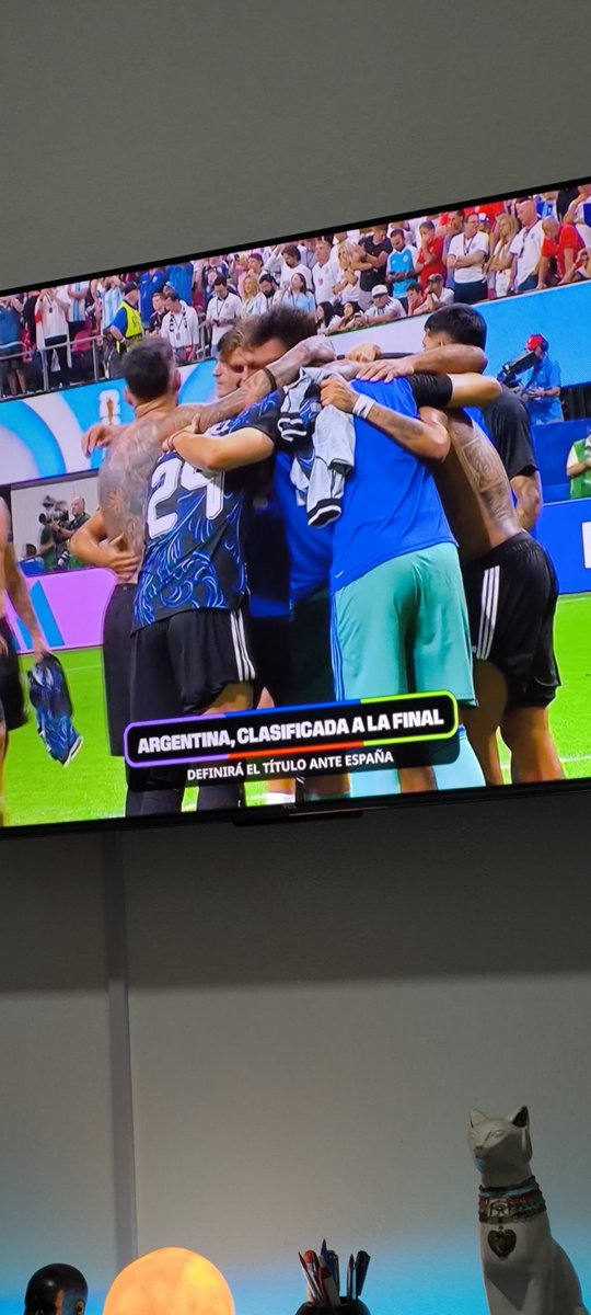 SayagoRomi's tweet photo. Argentina señores!!!!!!!! ARGENTINAAAAAAAAAAAAAAAAA VIVA LA PATRIA LA CINCHA DE LA LORAAAAAAAAAA!!!!!!!!!! https://t.co/EHKYw8wvij