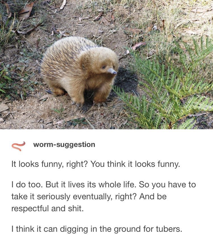 natamari_'s tweet photo. sometimes it’s like this https://t.co/pJpASCIlcs