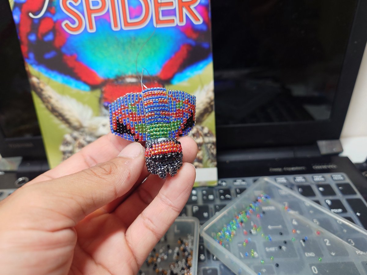 pokebeards's tweet photo. ピーコックスパイダー
Maratus.caeruleus

種小名の「caeruleus」はラテン語で藍色、空色の意味
名前通り扇模様が青色のピーコックスパイダー

色繋がりで他にもMaratus.albus（albus=白）という真っ白のピーコックスパイダーもいます。 https://t.co/J00dTckoro