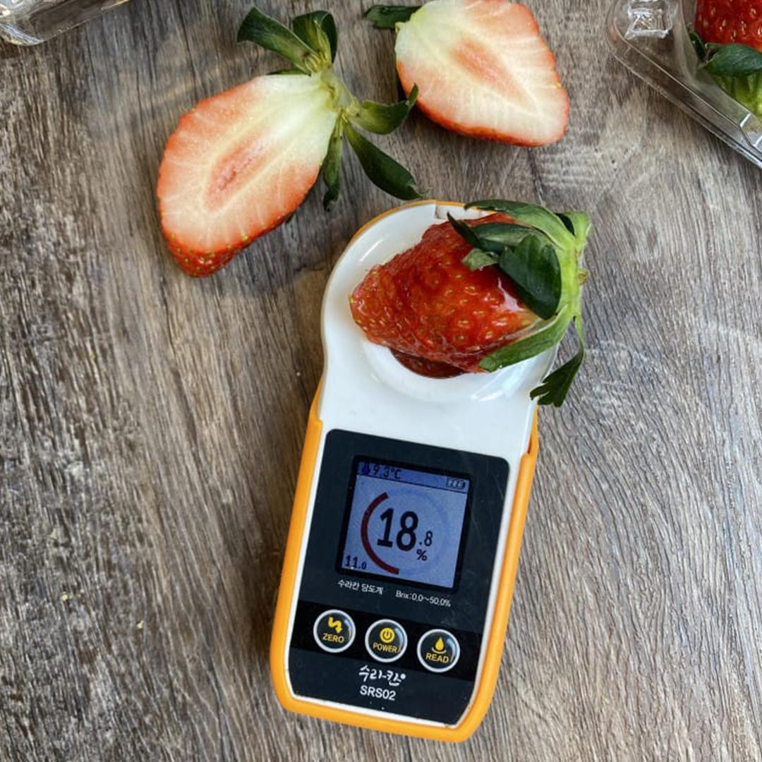 FarmsManager's tweet photo. 🍓 Jusqu'à 18 kg/m², 180 t/ha/an et 14 °Brix.
Sur le terrain en RDC 🇨🇩, nous optimisons la production de fraises hydroponiques grâce à des données réelles et une expertise internationale.
🌐 https://t.co/1E9j3hgJsY
#Hydroponics #Strawberry #CEA #Agritech #DRC #HydroFarmExperts https://t.co/PC4EeqOGBW