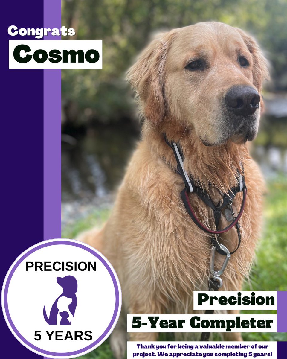 Dog Aging Project tweet media