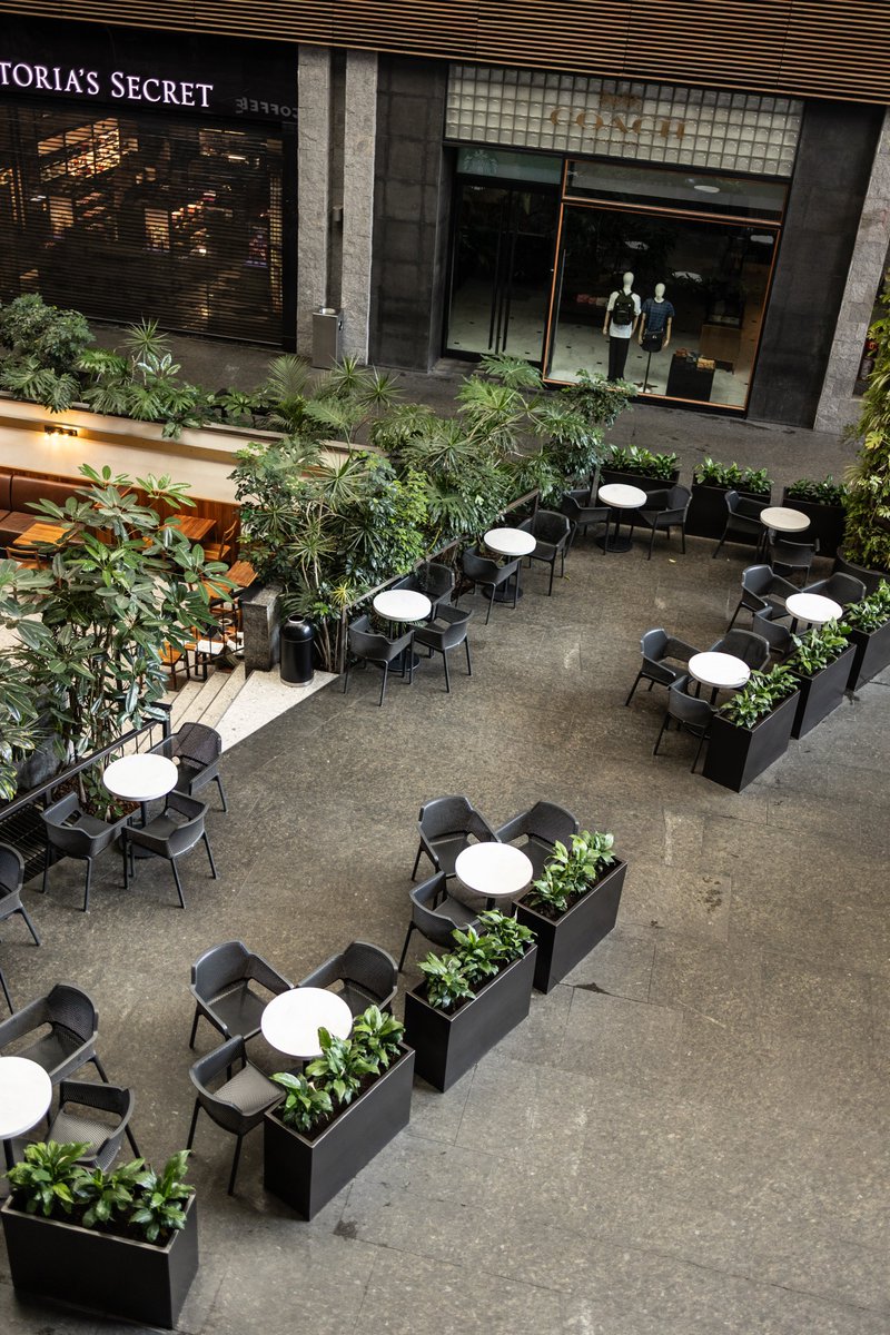ccangelopolis1's tweet photo. Goza un momento perfecto en nuestros restaurantes con terraza.🍽️🌿 https://t.co/6W6cyY61b3