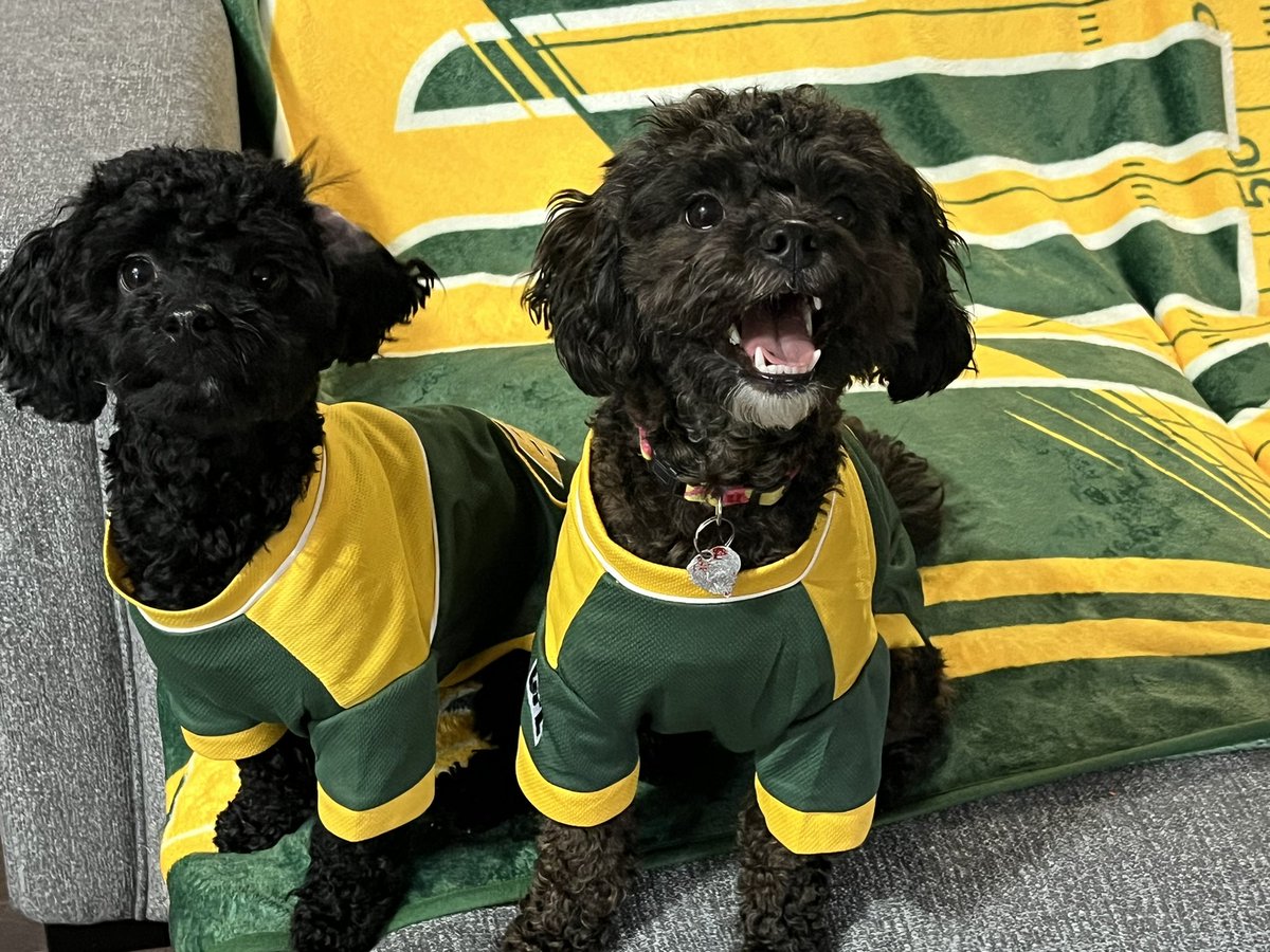 elksfan54's tweet photo. Cherry and Blossom are showing their stylish EE jerseys!

#eepets #edmontonelks https://t.co/vAaPgKx9dp