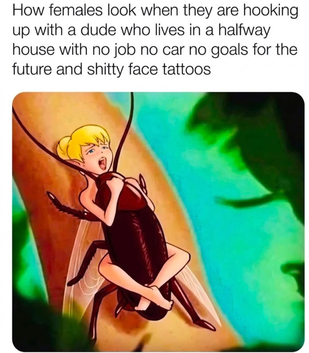 WomenBeingAwful's tweet photo. They love cockroaches https://t.co/JOIz00pjjj