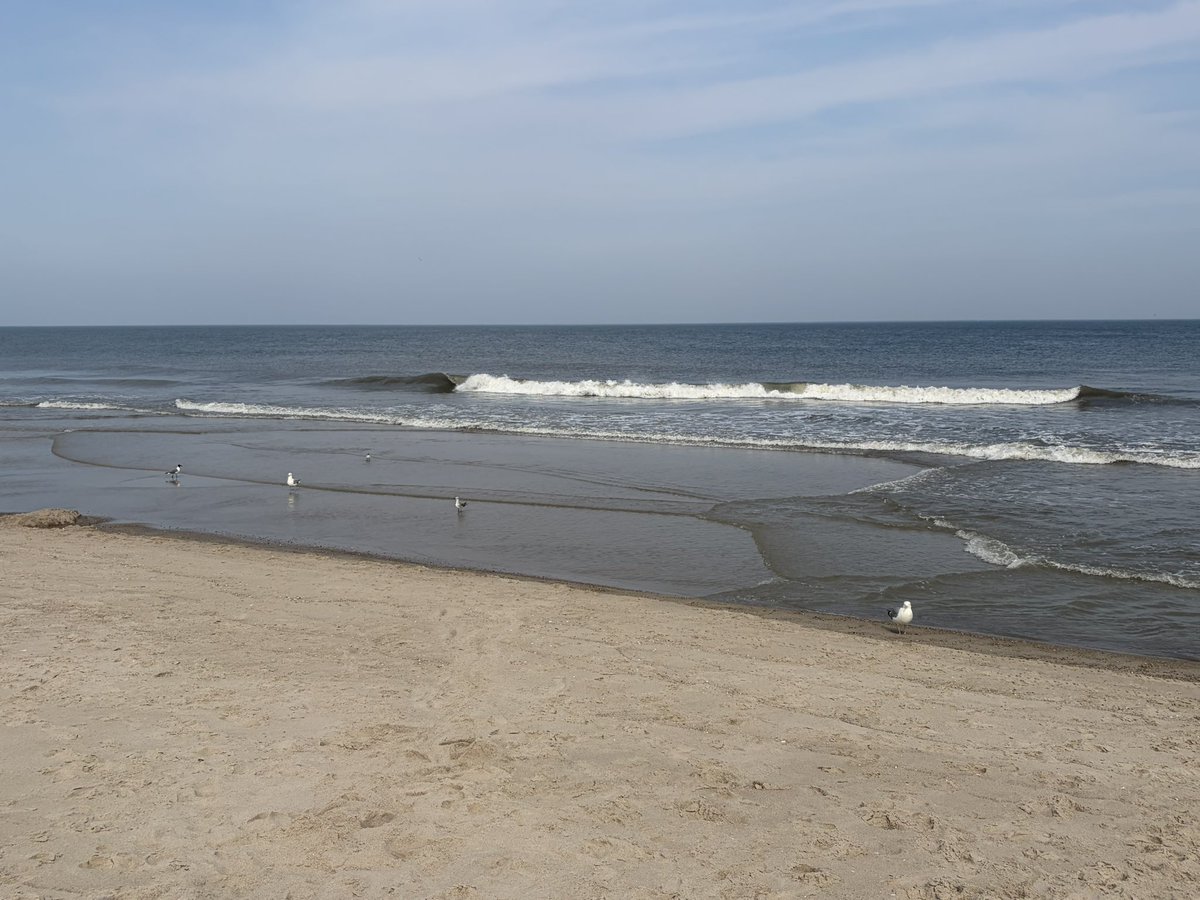 silvrgoat06's tweet photo. Greetings from Long Beach Island @ the Jersey Shore 🏖️ ☀️ 🏄‍♂️  🏐 
#SixMilesAtSea #JerseyShore #LBI #ShoretoPlease #Exit63 #BeachVibes https://t.co/Nc6FGTnHjo