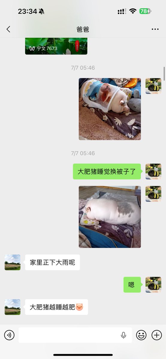 xaowei2026's tweet photo. @mmmammm_a 跟我家长一模一样…唉，所以我在我那二位面前就一只干脆装傻释放自己阿斯的本性，像个10岁小孩一样天天给他们发我自己拍到的或者从网上找的的小动物图片视频，然后用小孩子的语气说话 https://t.co/g7C1Pfbl2e