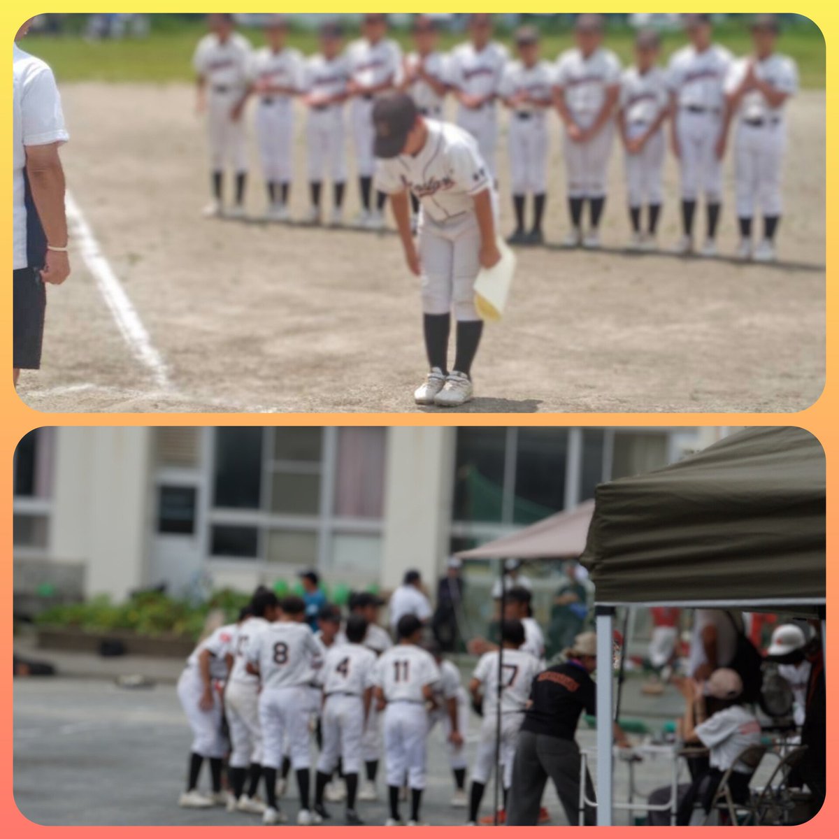 ms_baseballteam's tweet photo. 山本昌杯予選優勝✨️
一部松林リーグ優勝！
最後はお互い残念な形で勝負が…
秋はしっかりと勝負！
🔗https://t.co/RtW9JhifHt 
#学童野球 #少年野球 #ムーンスターズ #茅ヶ崎市 #小和田小 https://t.co/rsSloy9Cjz
