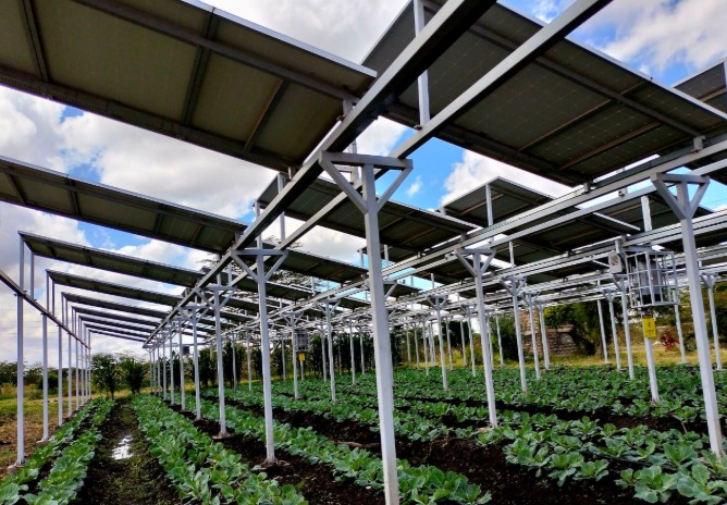 Coissivi's tweet photo. Agrivoltaics at Viveo
Food and solar energy at same time
Dual Harvesting
We can also finance big government and private agriculture projects
Please contact us https://t.co/Pye2zr84IW