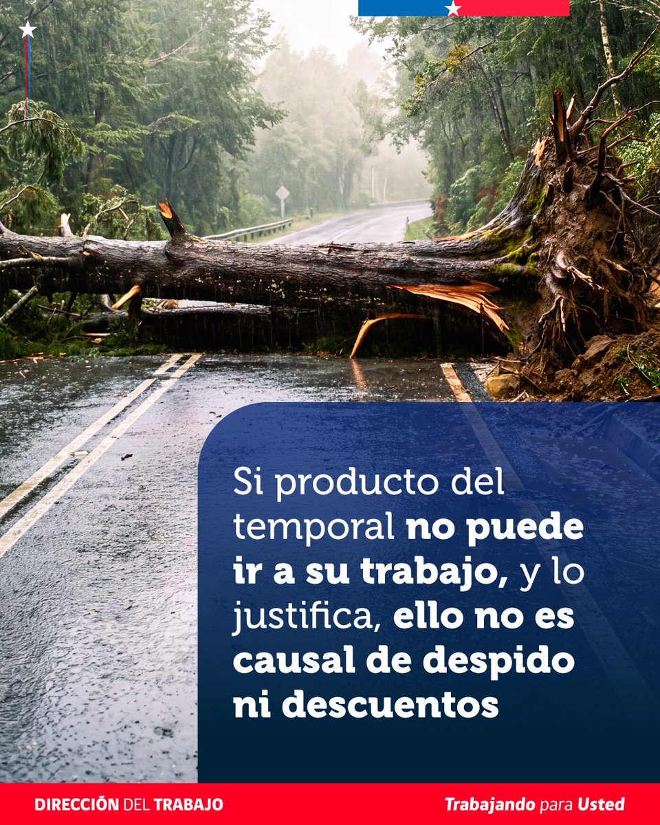 drtmetrooriente's tweet photo. ⛈️ Si te ves enfrentado a incumplimientos laborales durante el #FrentedeMalTiempo ☔️, la @drtmetrooriente te informa que fiscalizaremos el cumplimiento de derechos y deberes de la normativa laboral, y que puedes hacer tus denuncias en dtfrentemaltiempo@dt.gob.cl https://t.co/AEofxPO6df