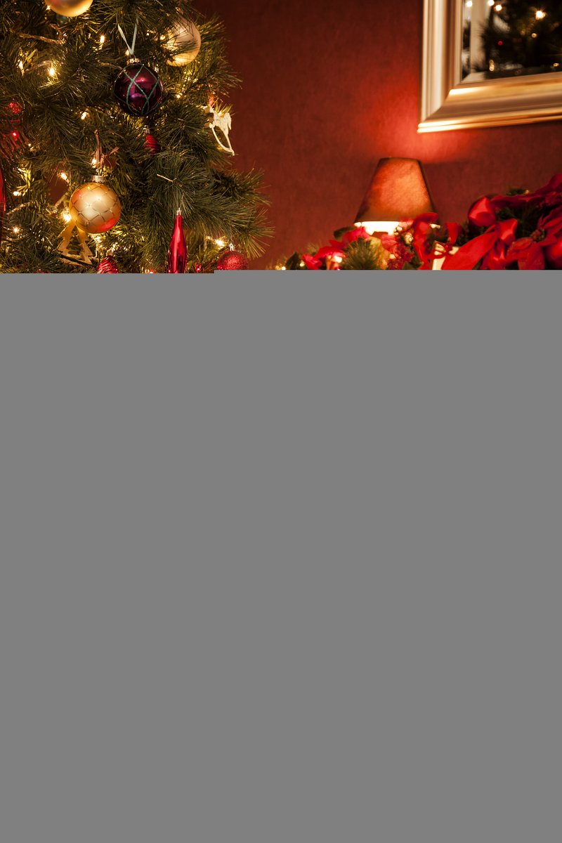 babaambaaaaa's tweet photo. Twinkling lights, warm cocoa, and cozy hugs under the tree—Christmas magic is here! ， https://t.co/CQVHkcao2V