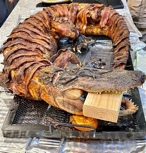 Bible_Scientist's tweet photo. @storm1news oh yeah, great idea. Give them a good meal before they cross the border. 
The restocking of gators will cost a fortune. https://t.co/9RqsZtLmOY