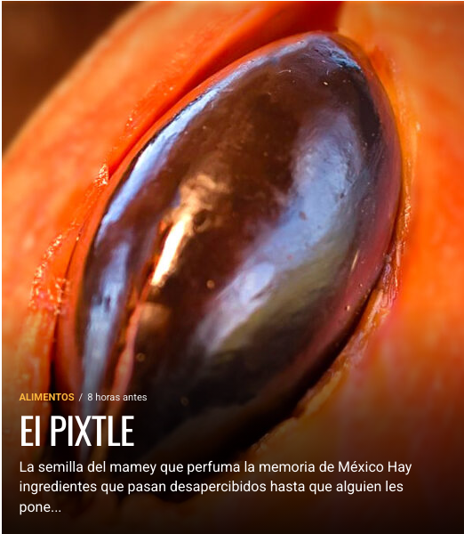 gastromakers's tweet photo. Leer post: https://t.co/8tAy5WvRRa
Hay ingredientes que pasan desapercibidos hasta que alguien les pone nombre.
#Pixtle #frutas #ingredientes #cocina #México #Mamey #gastromakers #culturagastronómica #Chefs https://t.co/EXOVJjbj1M