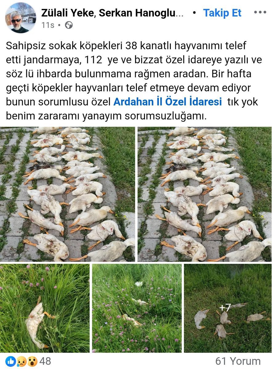 SehirlerGuvenli's tweet photo. Beyler bu millet bunu hak etmiyor.
Vallahi yazık ediyorsunuz.

@Akparti https://t.co/P3BAylTHdQ