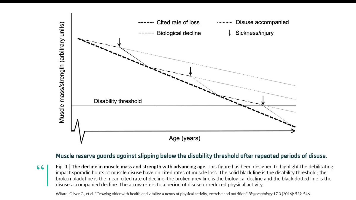 foundmyfitness's tweet photo. We often picture age-related muscle loss as a gradual, predictable downward slope. 

In reality, the trajectory is often punctuated by sudden, much steeper declines brought on by hospitalization, surgery, injury, illness, or prolonged inactivity.

Avoid these "catabolic crises" however you can.