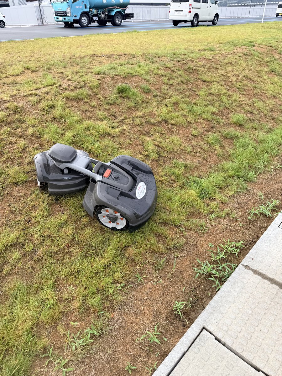 okasing's tweet photo. カエルさん乗車中🐸 https://t.co/43NaHI8KAc