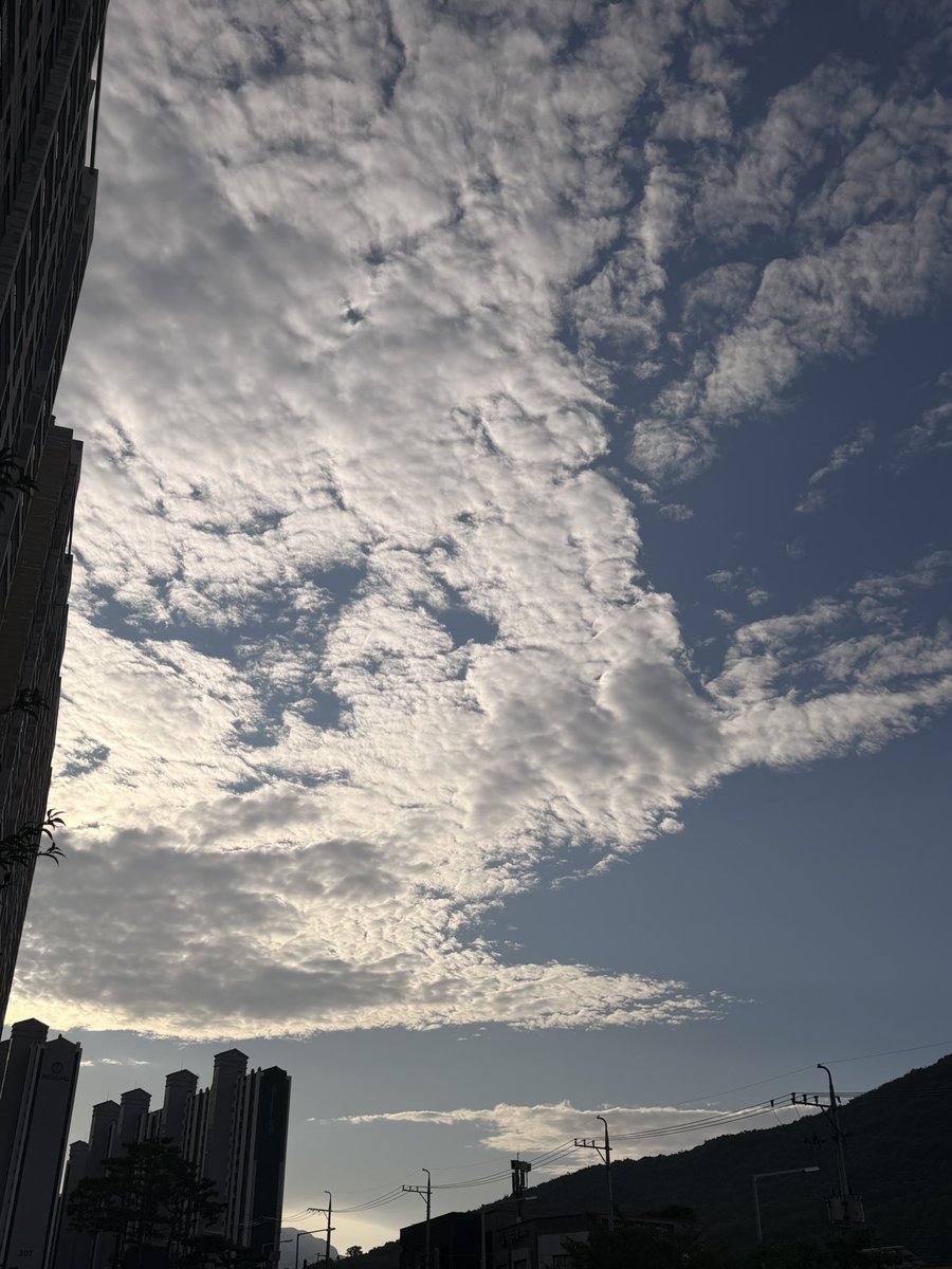 rel2x_x's tweet photo. 굿모닝 #트친소 https://t.co/243Kf19lvS