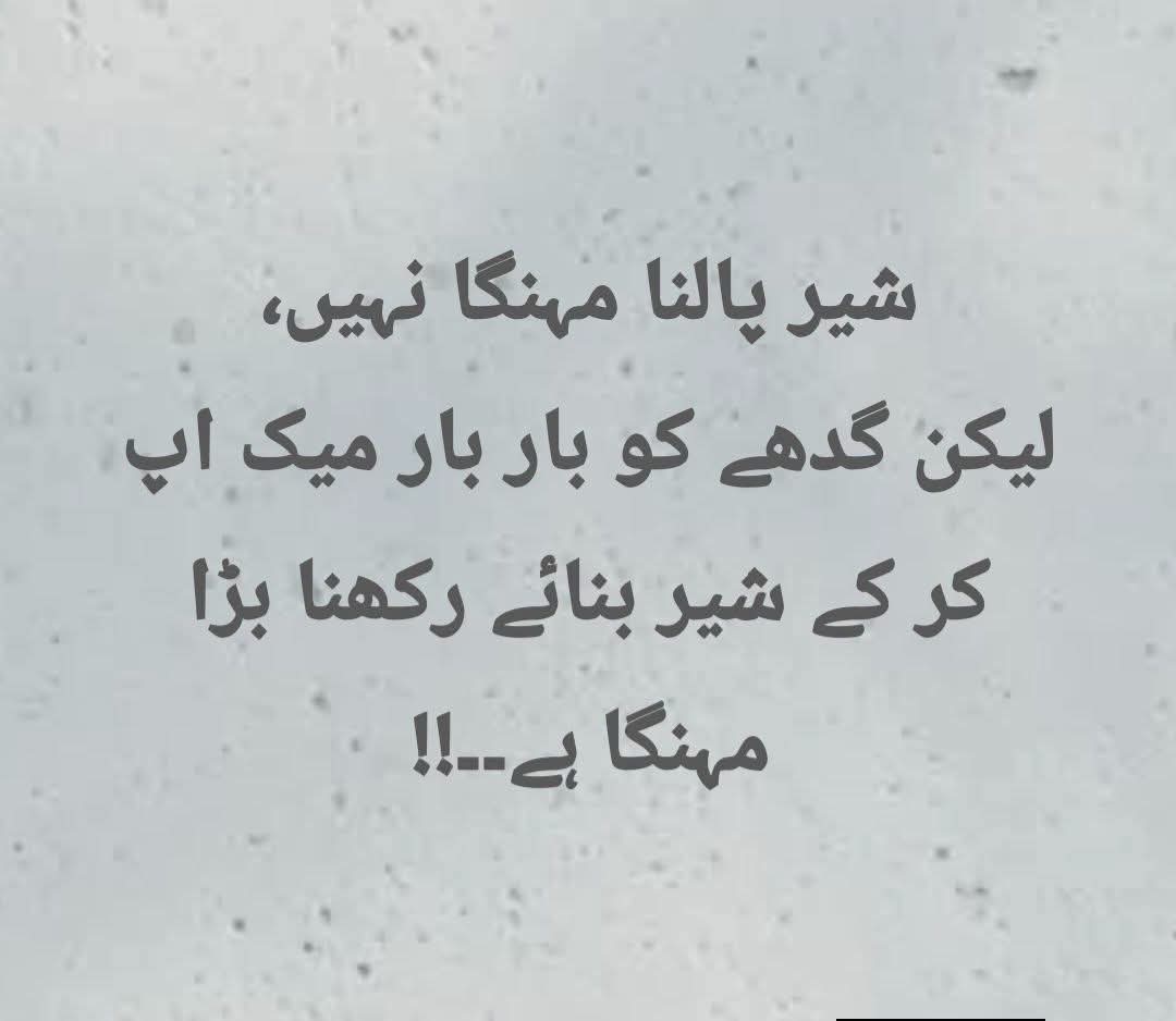 sabine_kayani's tweet photo. بوجھو گدھا کون! https://t.co/ZK9izBwGGf