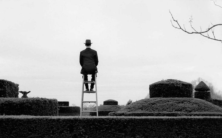 literlandweb1's tweet photo. "La gente ve lo que quiere ver y lo que la gente quiere ver nunca tiene nada que ver con la verdad".
"2666", Roberto Bolaño https://t.co/6BZfQ4LCei