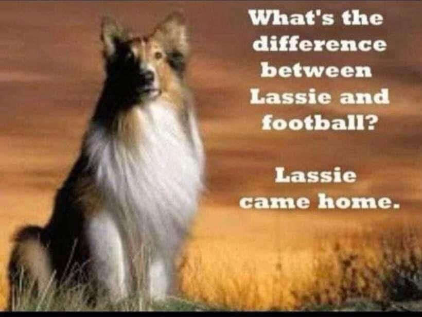 willbrownsydney's tweet photo. @FootballRamble https://t.co/8o8XjVG1Xj