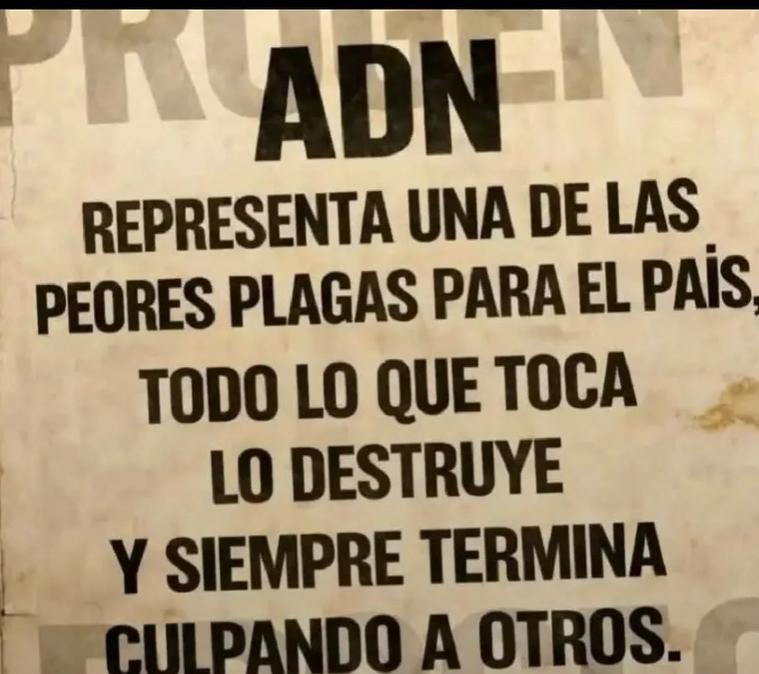 yadiravega111's tweet photo. @JahirenNoriega @BancadaRC5 @RicardoPatinoEC @RC5Oficial @ecuarauz @Fcedenor23 @Danielsalcan_ @EcEnDirecto @relicheandres @ecuainm_oficial @radio_pichincha Excelente @JahirenNoriega usted si nos representa #YaBastaDeTantoAbuso de este #NarcoGobiernoDeNoboa
#RevocatoriaYa
#NosGobiernanDelincuentes los del #GDOADN https://t.co/dHwUmTi8vO