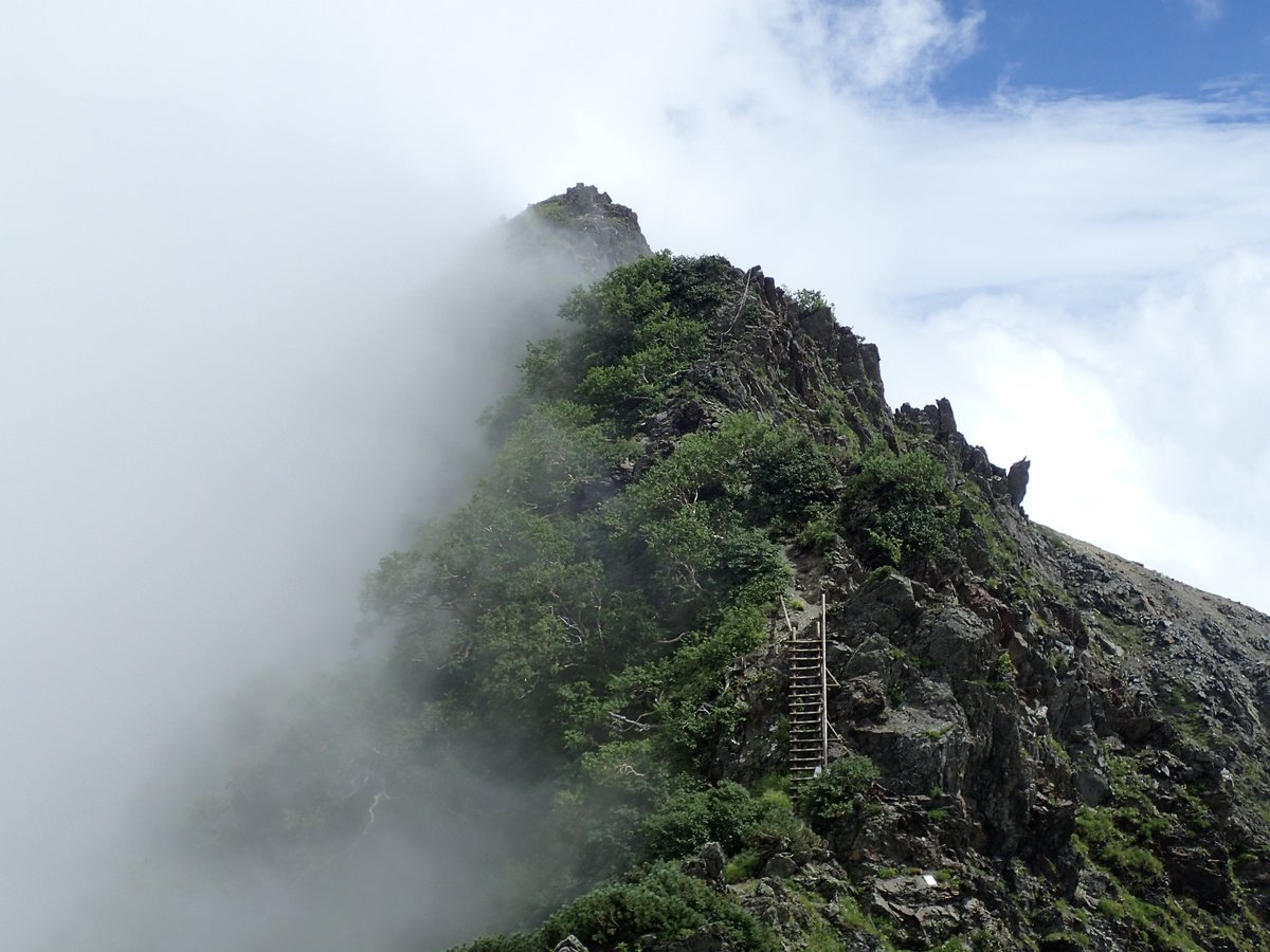 jackfromjack's tweet photo. 北岳の八本歯のコルのルート

#過去写真 #昔の写真 #日本百名山登山アルバム #日帰り登山 #登山写真集 https://t.co/jX9QxXvpos