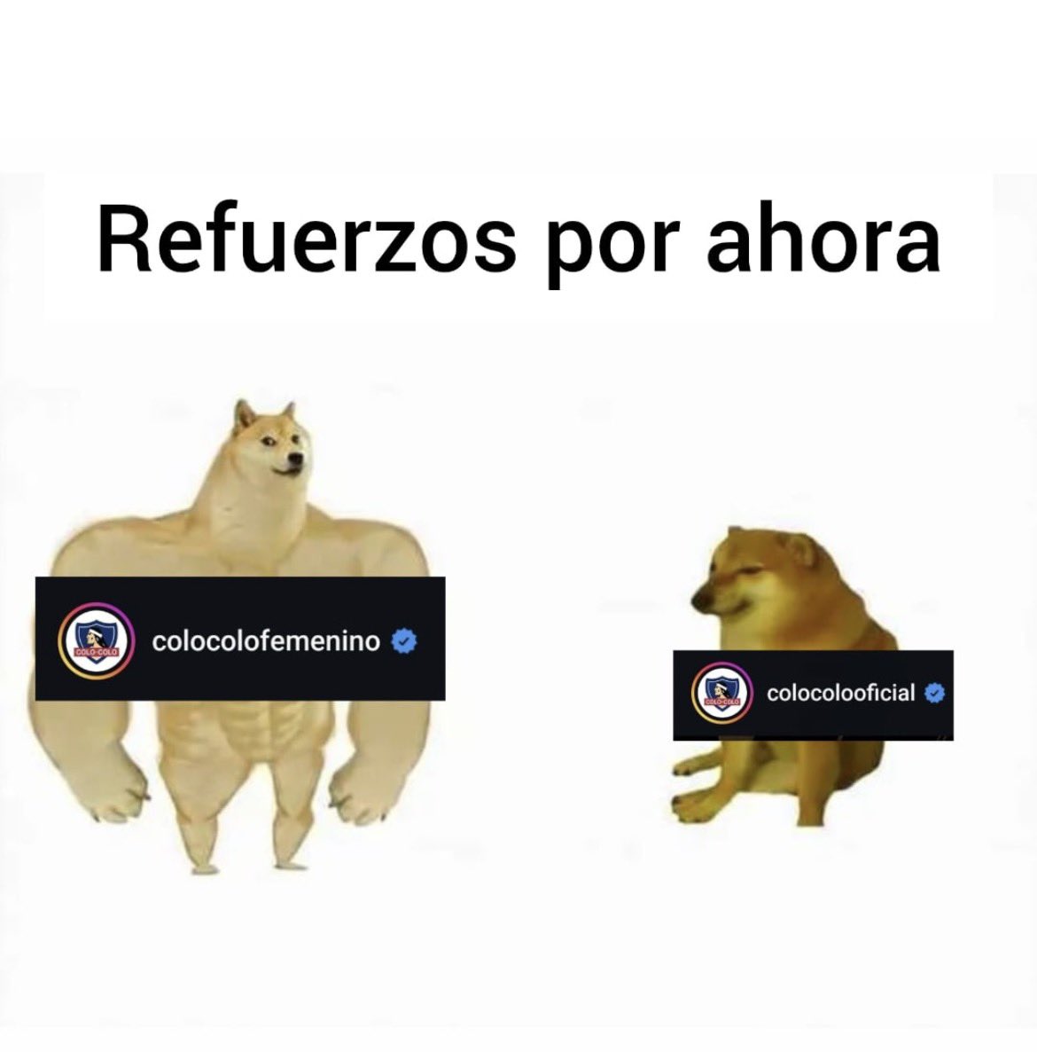 Out of Context Colo-Colo tweet media