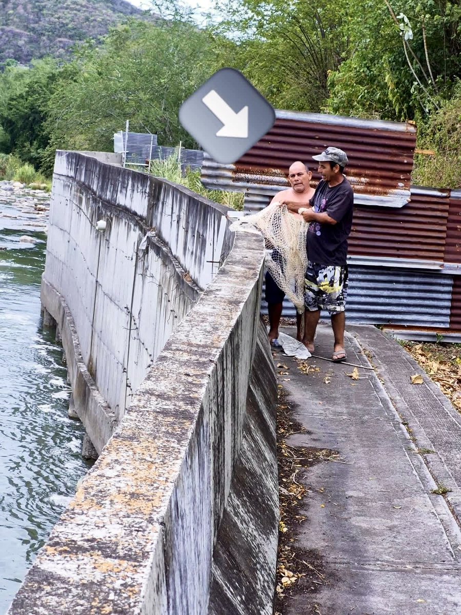 oajm993's tweet photo. 🚨 Indignante, en Honda, Tolima: arrojan un gato al río Magdalena. Ya hay denuncia en Fiscalía, pero la comunidad está asumiendo sola el peso de las pruebas y trámites.
@AlcaldiaDeHonda : ¡Necesitamos apoyo institucional real y articulado! https://t.co/NTyBGwTFce