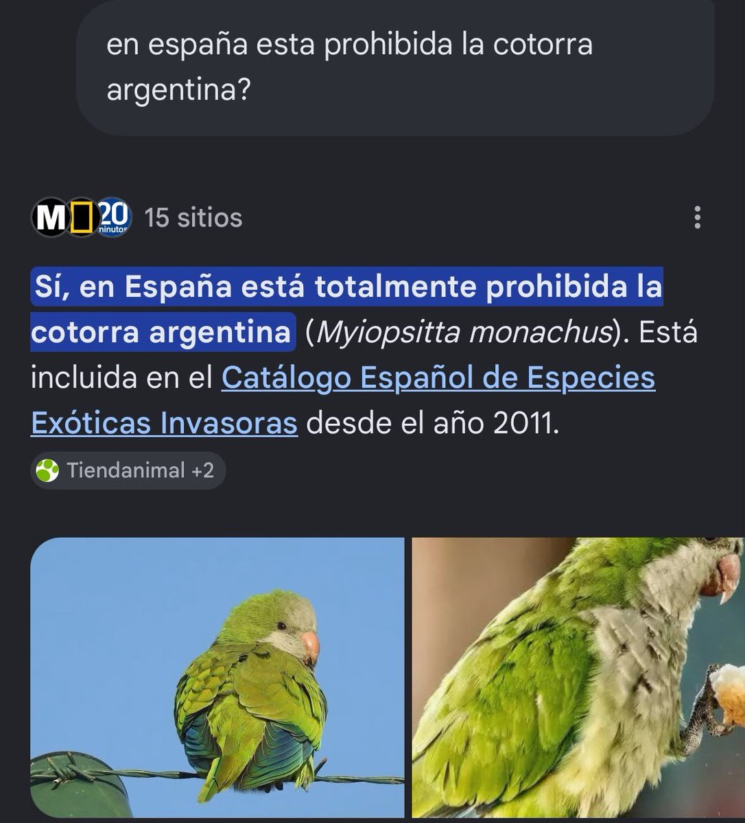 alvaro_velasco's tweet photo. Vienen 4 días de turra argentina muy potente. https://t.co/bETffsHXD9