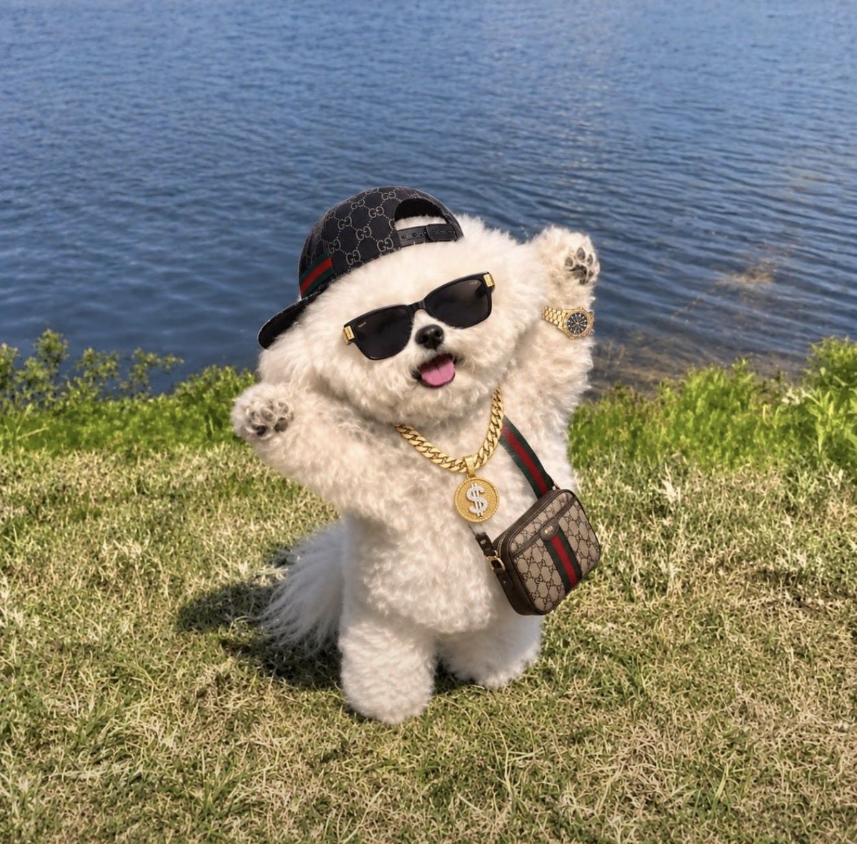 PrinnySol's tweet photo. https://t.co/AYQ3Xzqazi