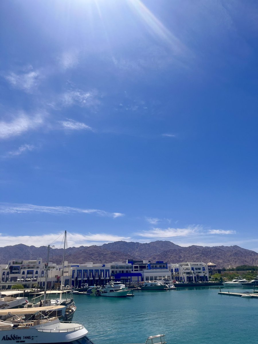 ydohuj's tweet photo. 방학… 이라는 것 🌀
탈출까지 이제 d-8 🥺 https://t.co/EBQu102zR0