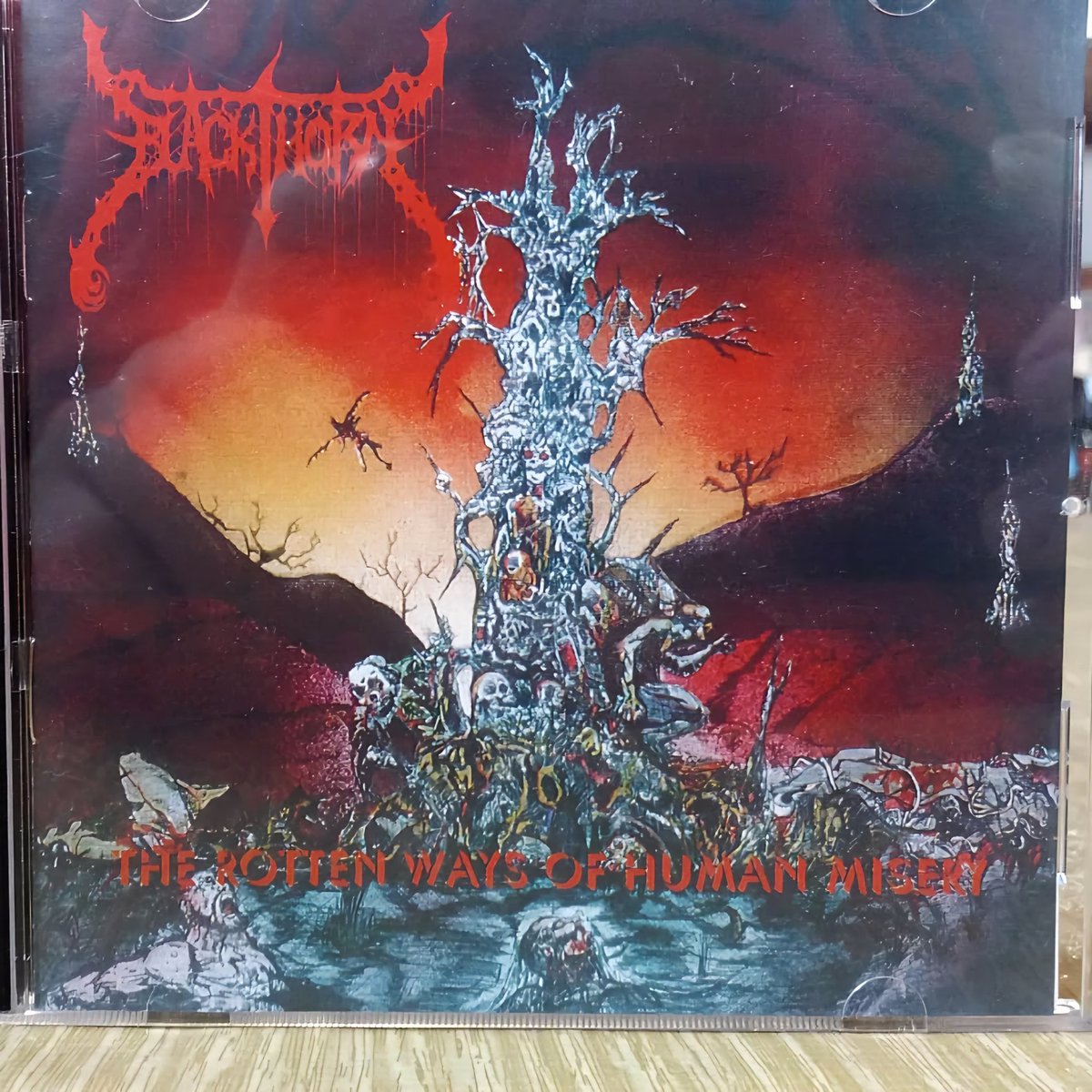 DeathMaster1975's tweet photo. 𝕬𝖑𝖇𝖚𝖒𝖊𝖘 𝕯𝖊𝖆𝖙𝖍 𝕸𝖊𝖙𝖆𝖑

Blackthorn MEX, The Rotten Ways Of Human Misery. https://t.co/l3urQSXjcq