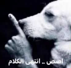 M0cq_MB's tweet photo. @Zi2d1 @khaled_q28 https://t.co/n7SHcihIrZ