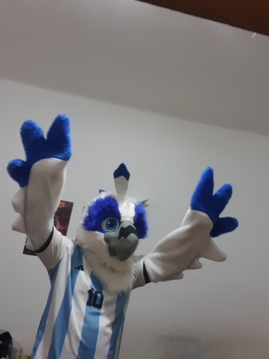 DrackMatthewSpi's tweet photo. UNA LOCURAAAAAAA!!! VAMOOOOS A LA FINAL!!! #ARGENTINA #argentinafinalista #furry #guacamayo #mipais https://t.co/rcaVByfdNH